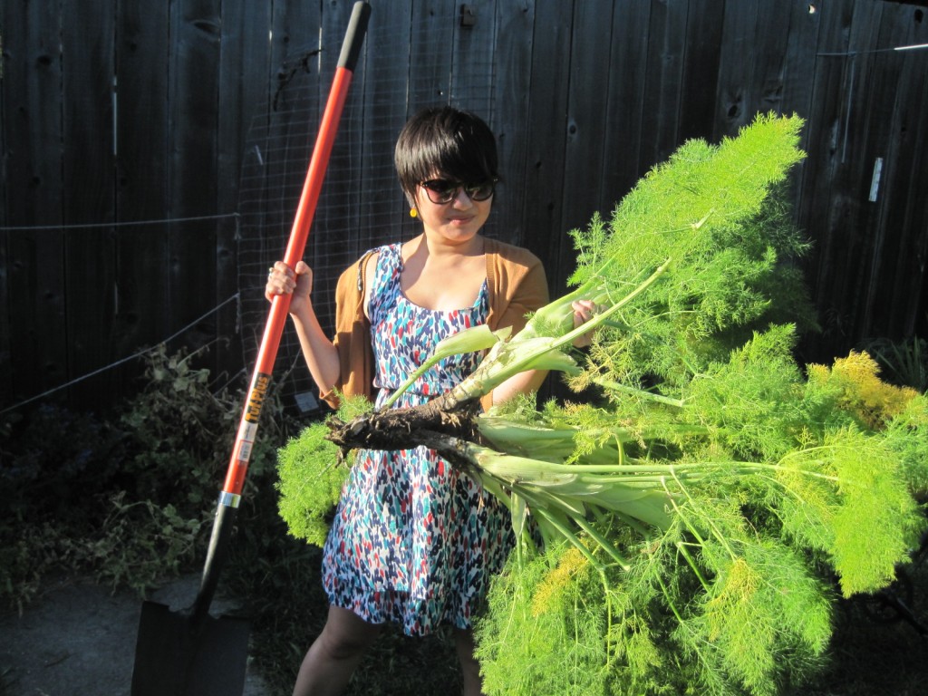 The Day We Dug Up The Monster Fennel