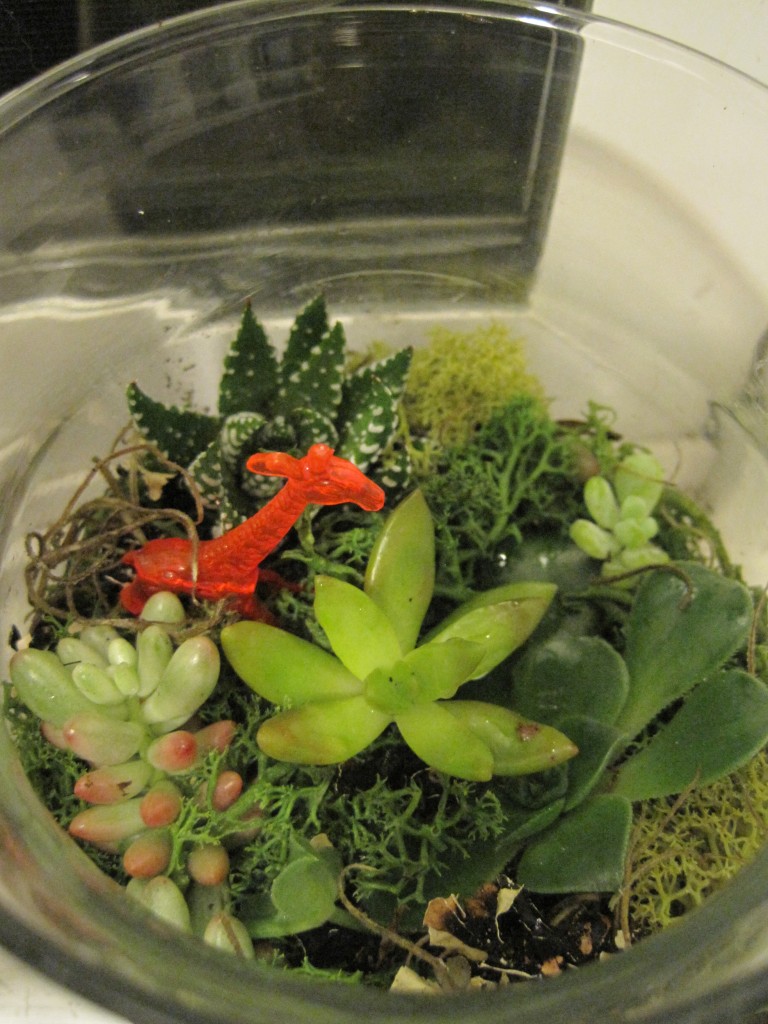 Terrarium Terror