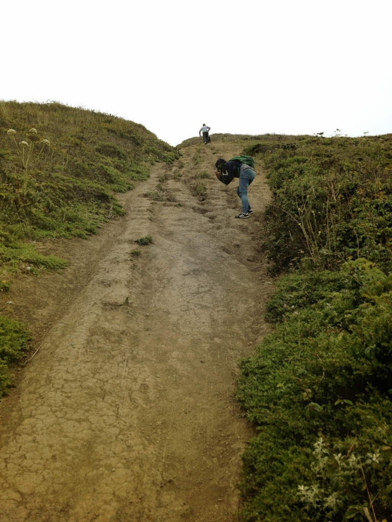20130718-233726.jpg